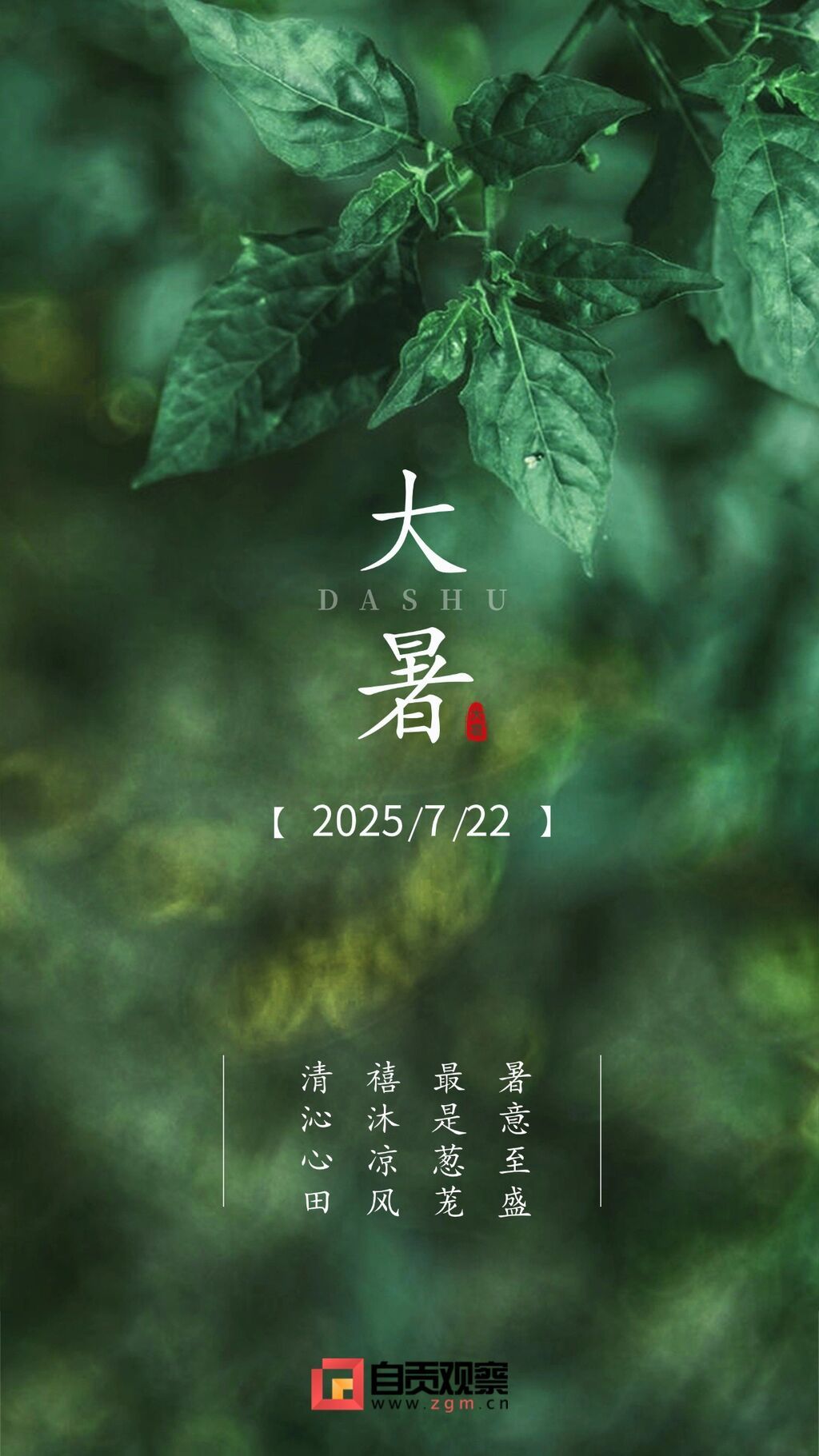 大暑节气祝福排版手机海报(3).jpg