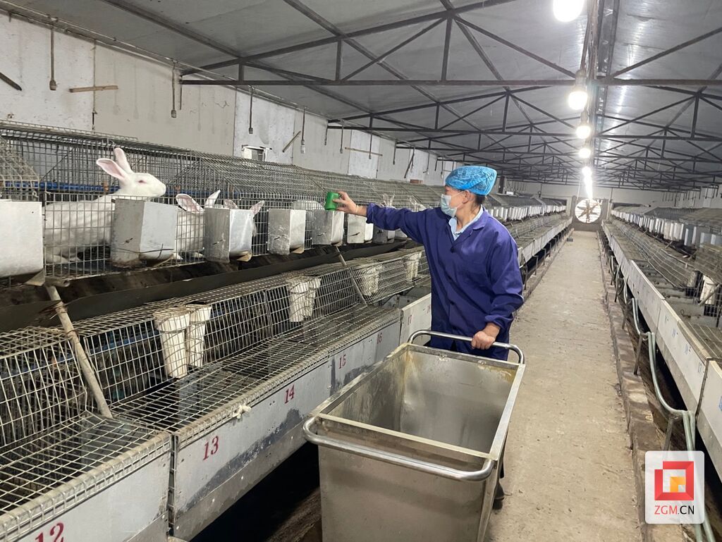 自贡市科原农业有限公司.jpg