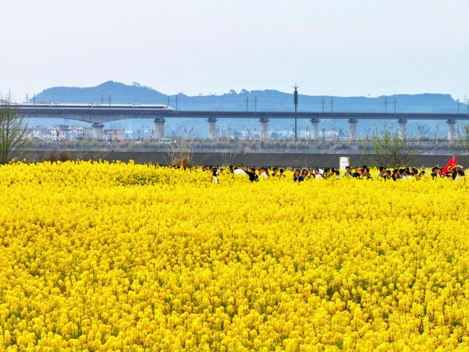 副本昔日撂荒地焕发新生 复耕耕地成新景点381.png