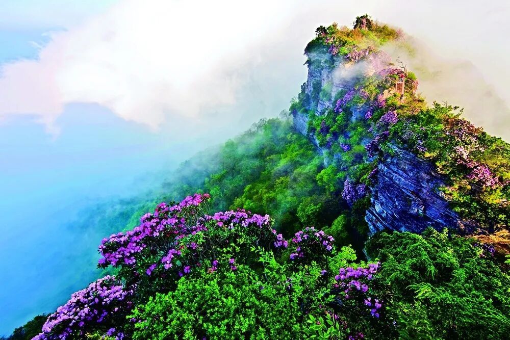 南江县文广旅局供图