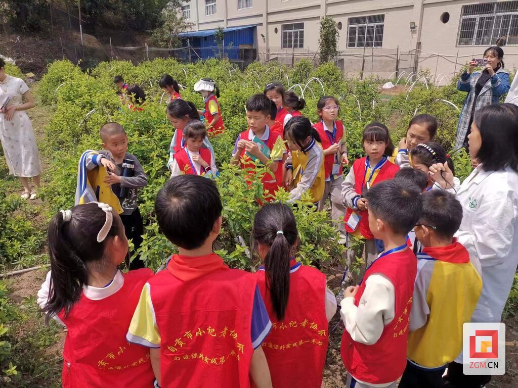 走進(jìn)金銀花種植基地.jpg