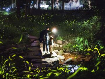 四川六大景区抱团赴京 发布小环线精品线路揽客