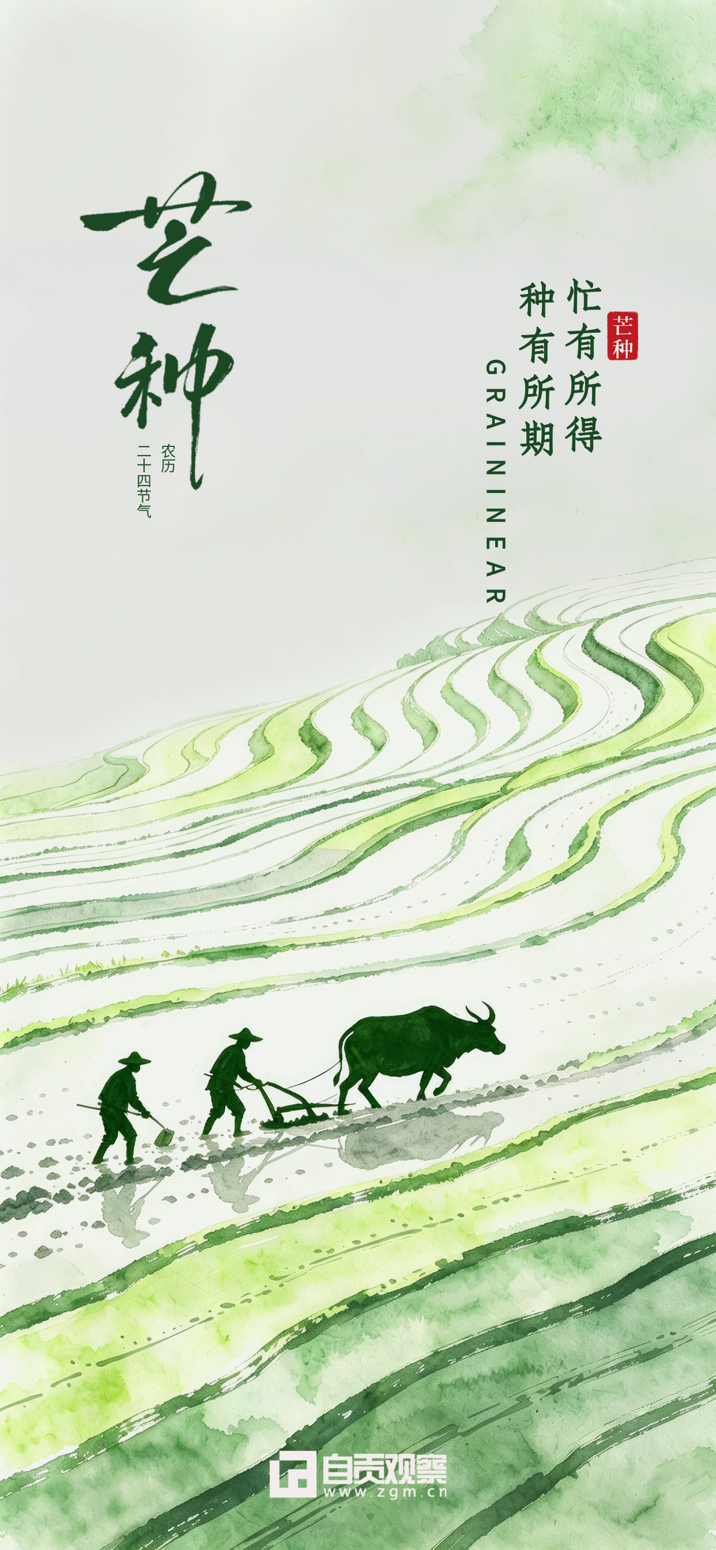 芒种节气祝福水墨极简风通用全屏竖版海报.png