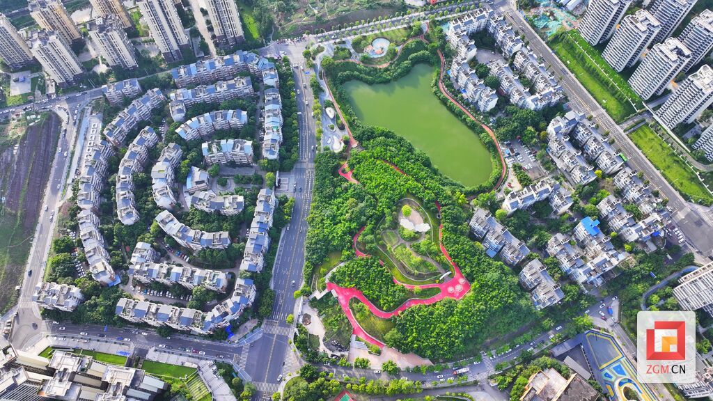 微信图片_20260604184839_570_29.jpg