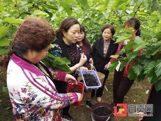微信图片_20200422142412.jpg
