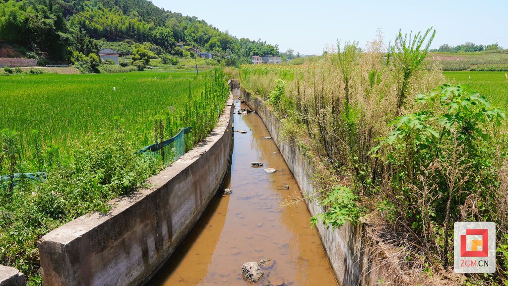电排措施让高标准农田水渠水量充足。实习生 白可 摄.jpg