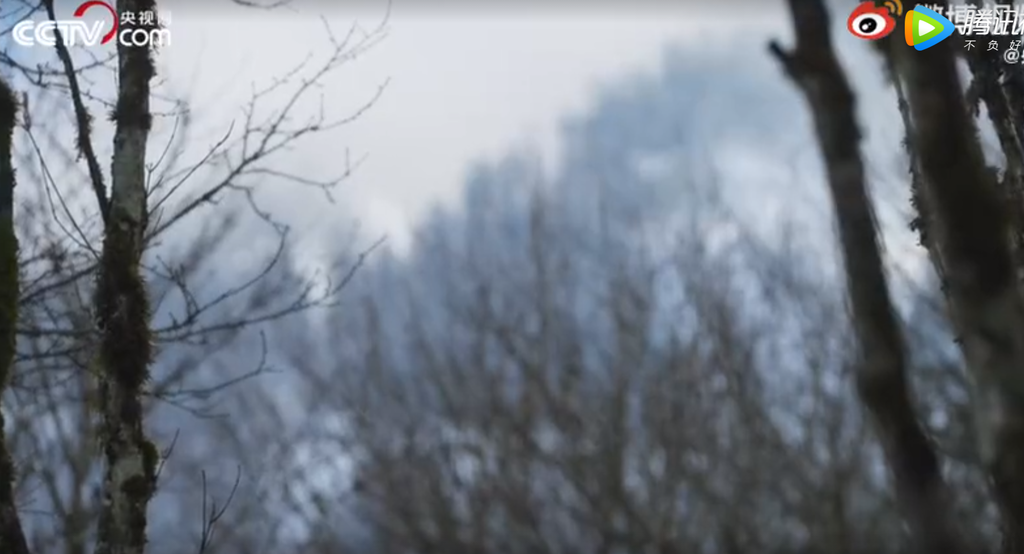 点击图片观看视频