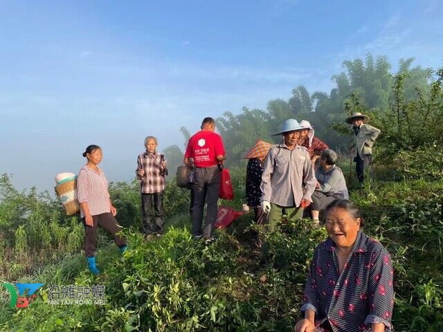 花椒产业丰收.jpg