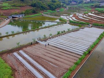 镜头直击丨春耕正酣 生机满盐都