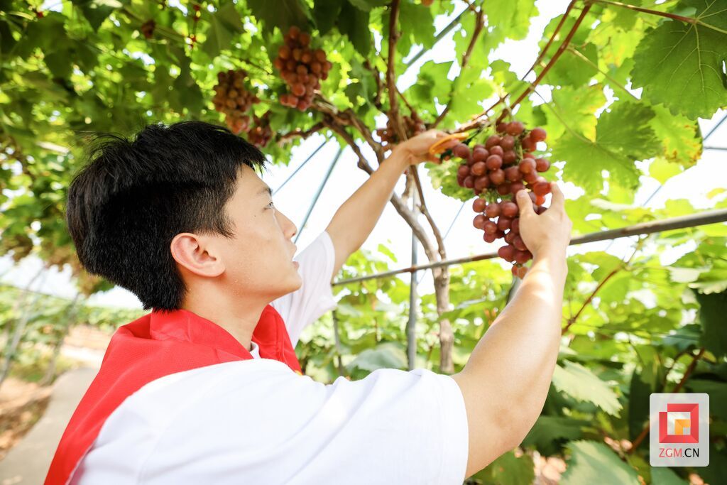 微信圖片_20230710133913.jpg