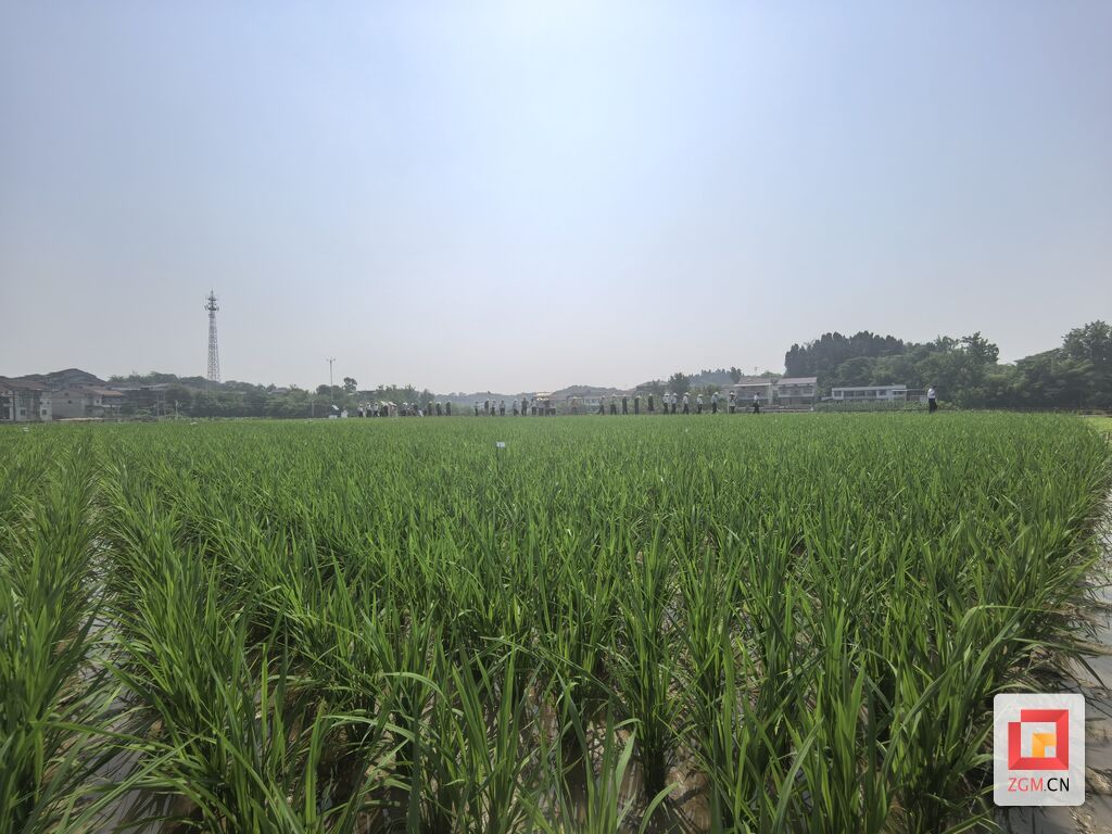 微信图片_20250520190921.jpg