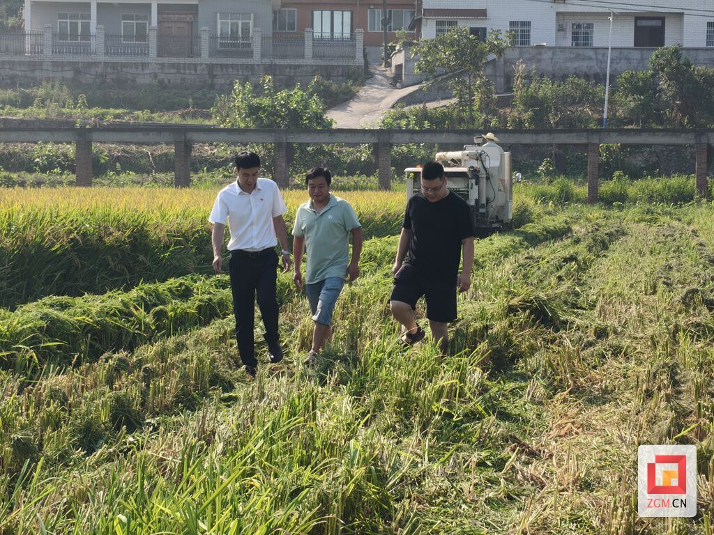 微信图片_20260816154638_700_172.jpg
