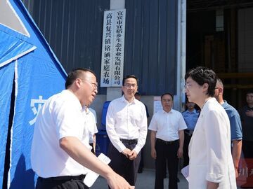 施小琳在宜宾市调研落实防灾减灾工作时要求：强化风险意识底线思维，有力有序做好灾害防范应对工作