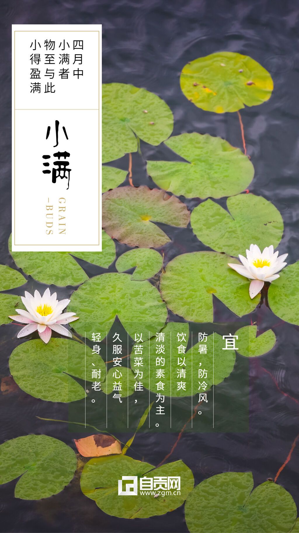 超清新小滿節(jié)氣打卡必備正能量 (3).jpg