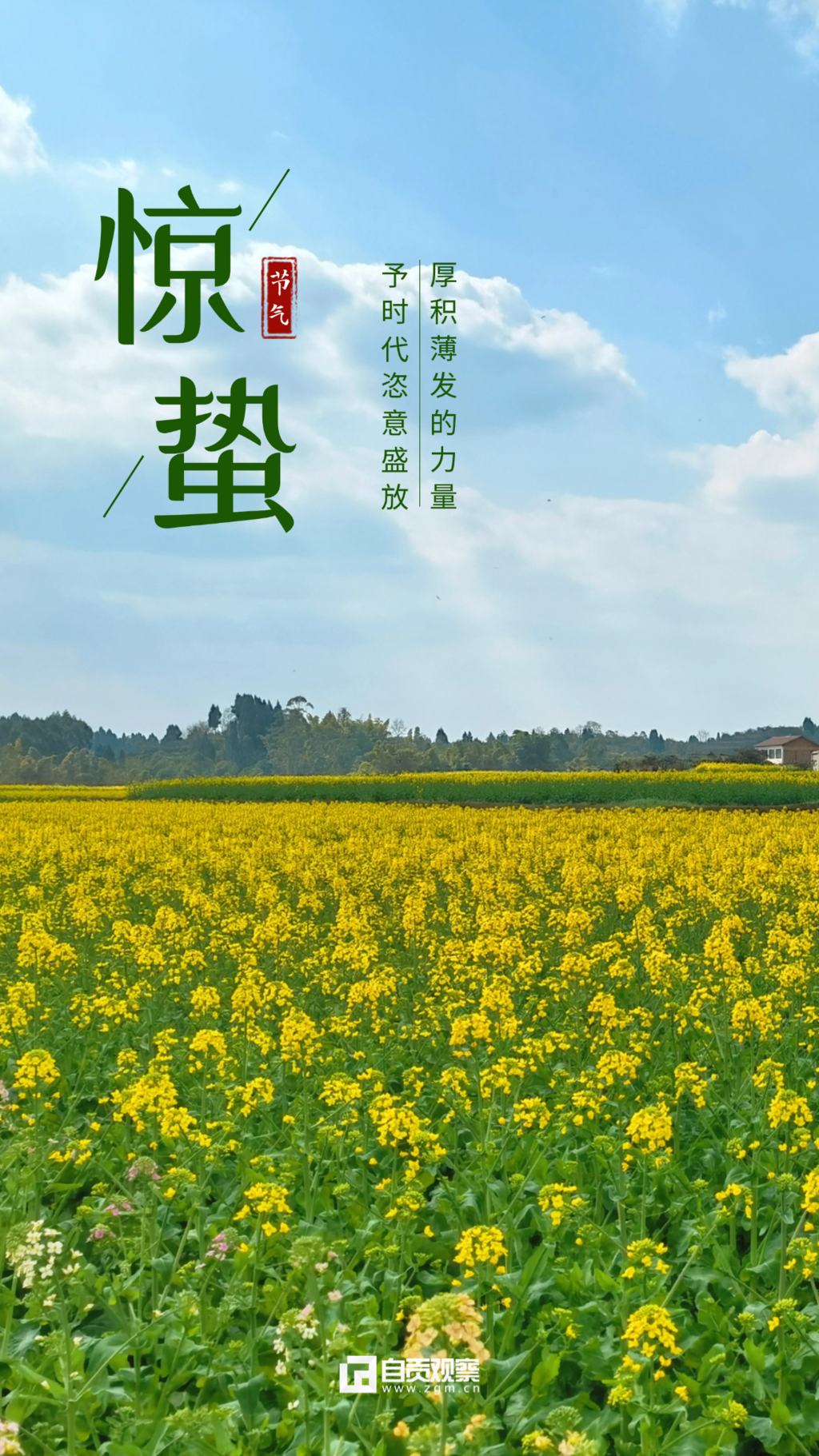 驚蟄節(jié)氣祝福手機海報(2).png