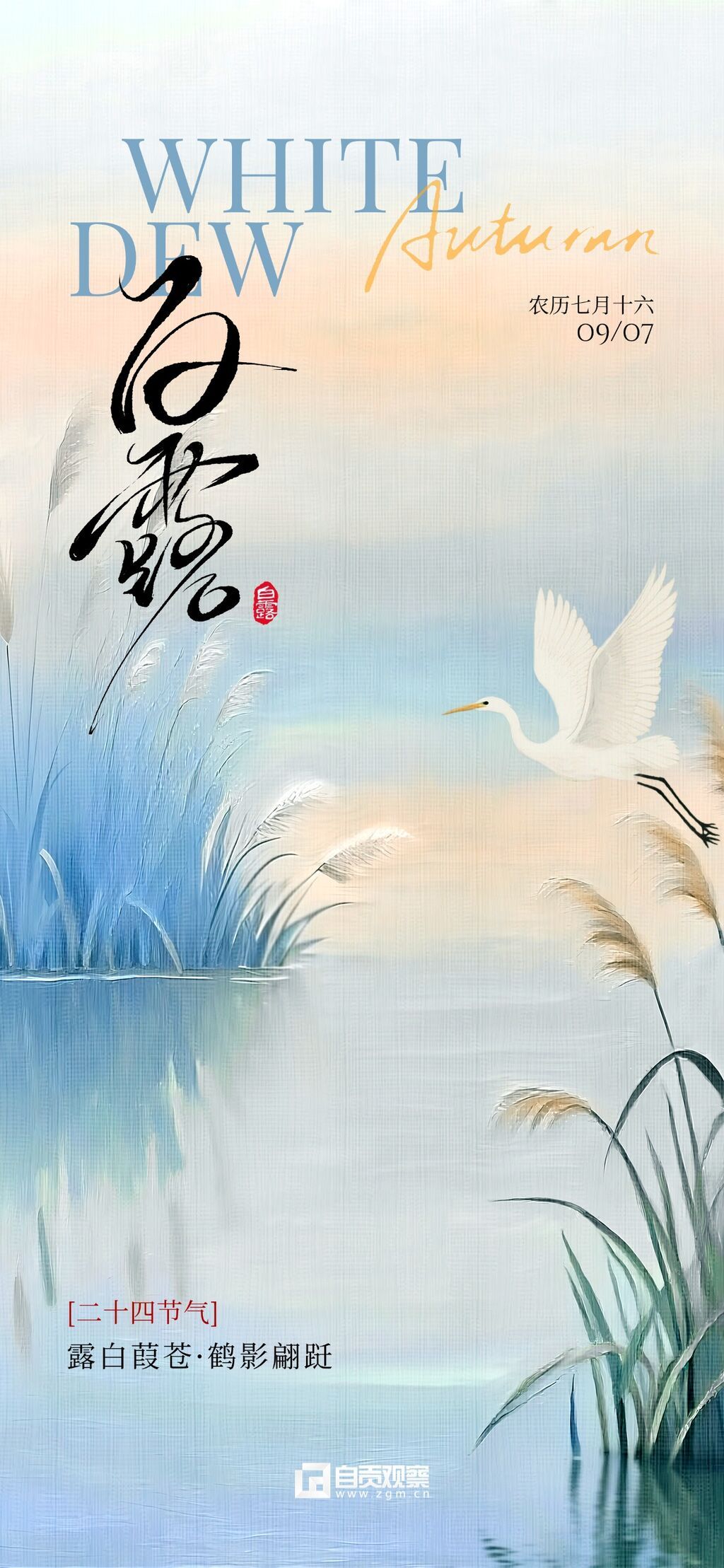 白露渐变湖泊白鹭芦苇海报AIGC.jpg