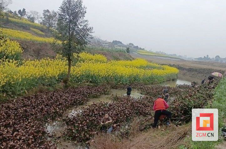 圖片2.jpg