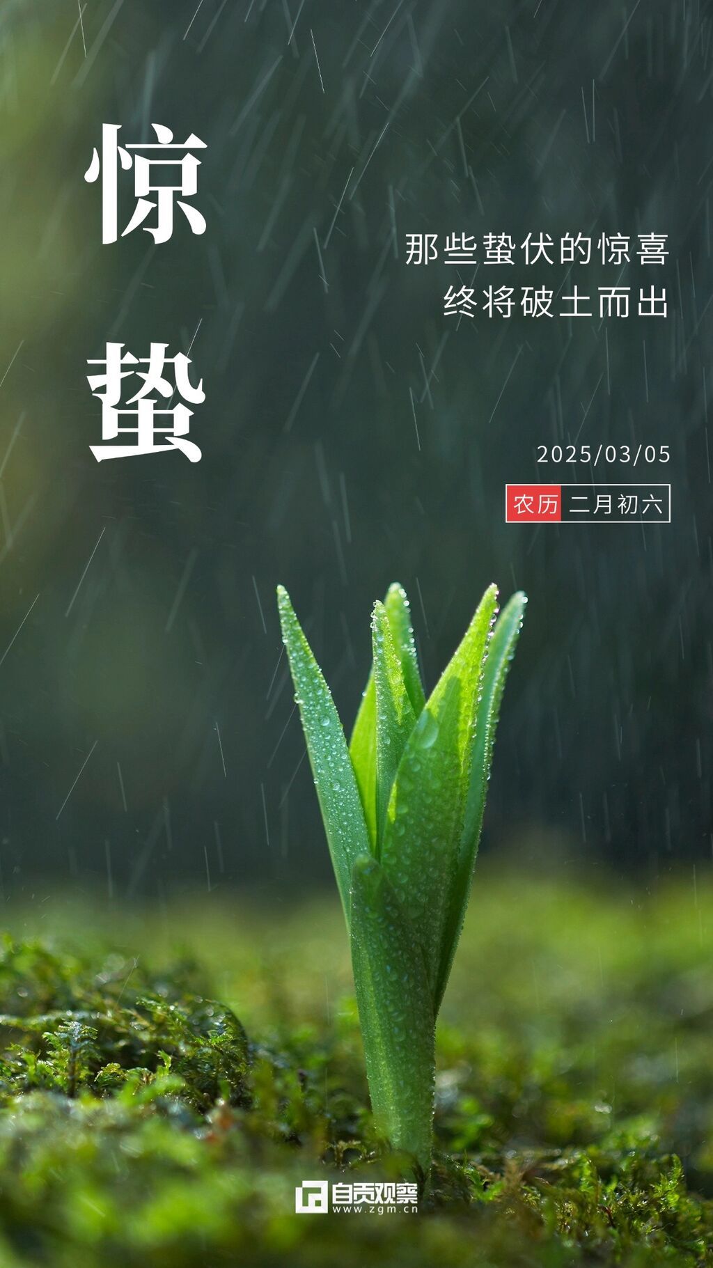 驚蟄節(jié)氣祝福手機海報 (1).jpg