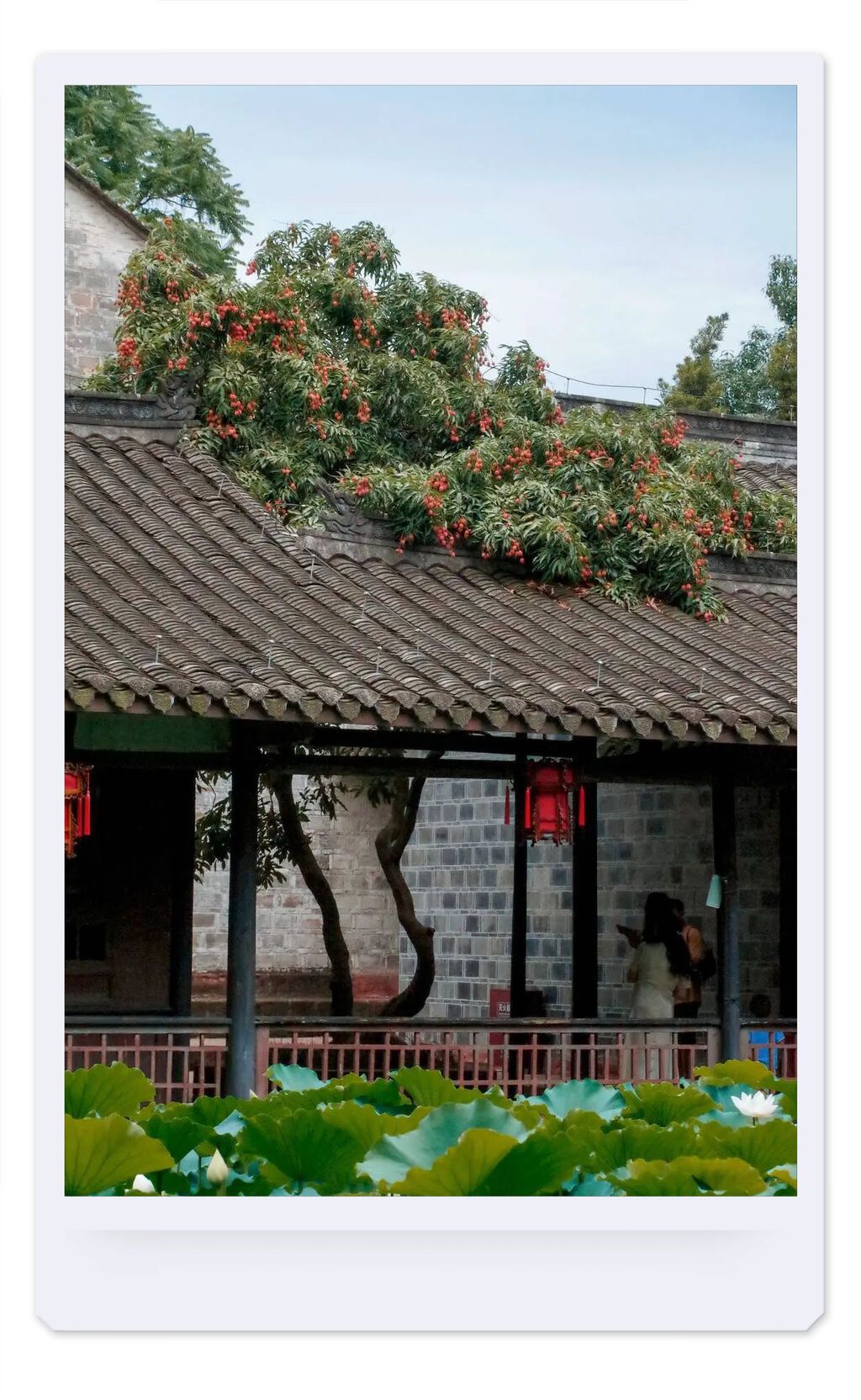 微信圖片_20250311102445.jpg