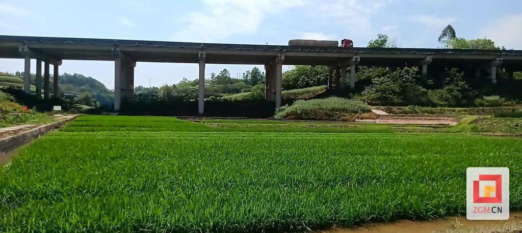 微信圖片_20250509163422.jpg