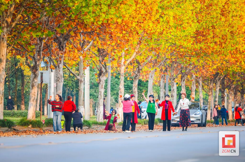 市民游客徜徉其间，或拍照留念，或悠闲漫步，感受着工业区中这片独特自然景观带来的惬意与浪漫 记者 宋姿熠 摄.jpg