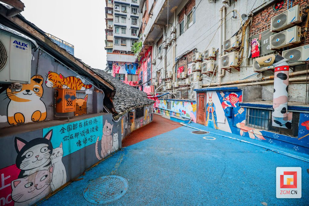 猫猫巷 记者 宋姿熠 摄.jpg