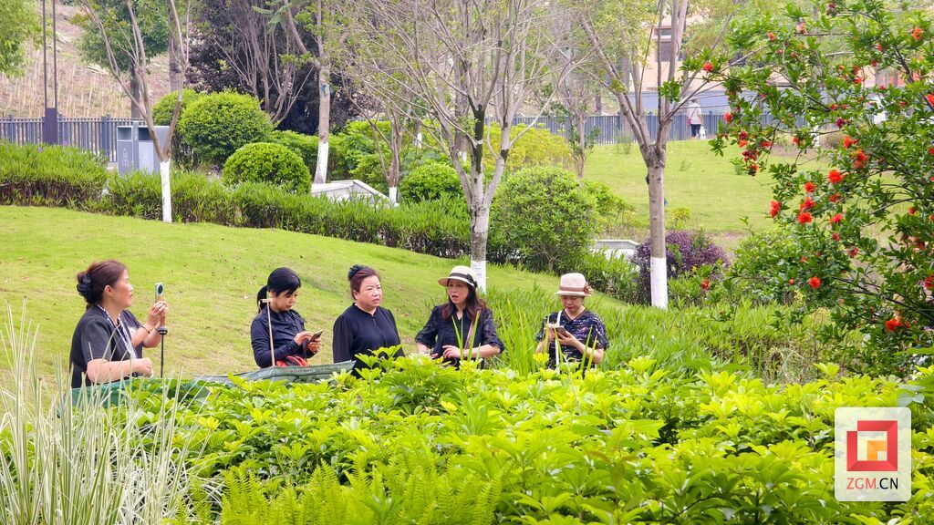 市民在翁田公园赏花拍照 记者罗祥瑞摄.jpg