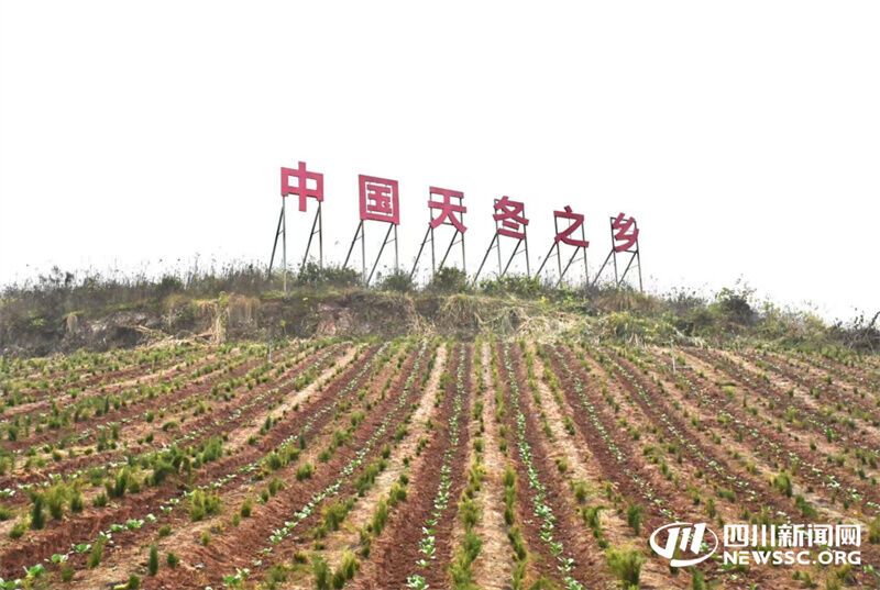 圖片3.jpg