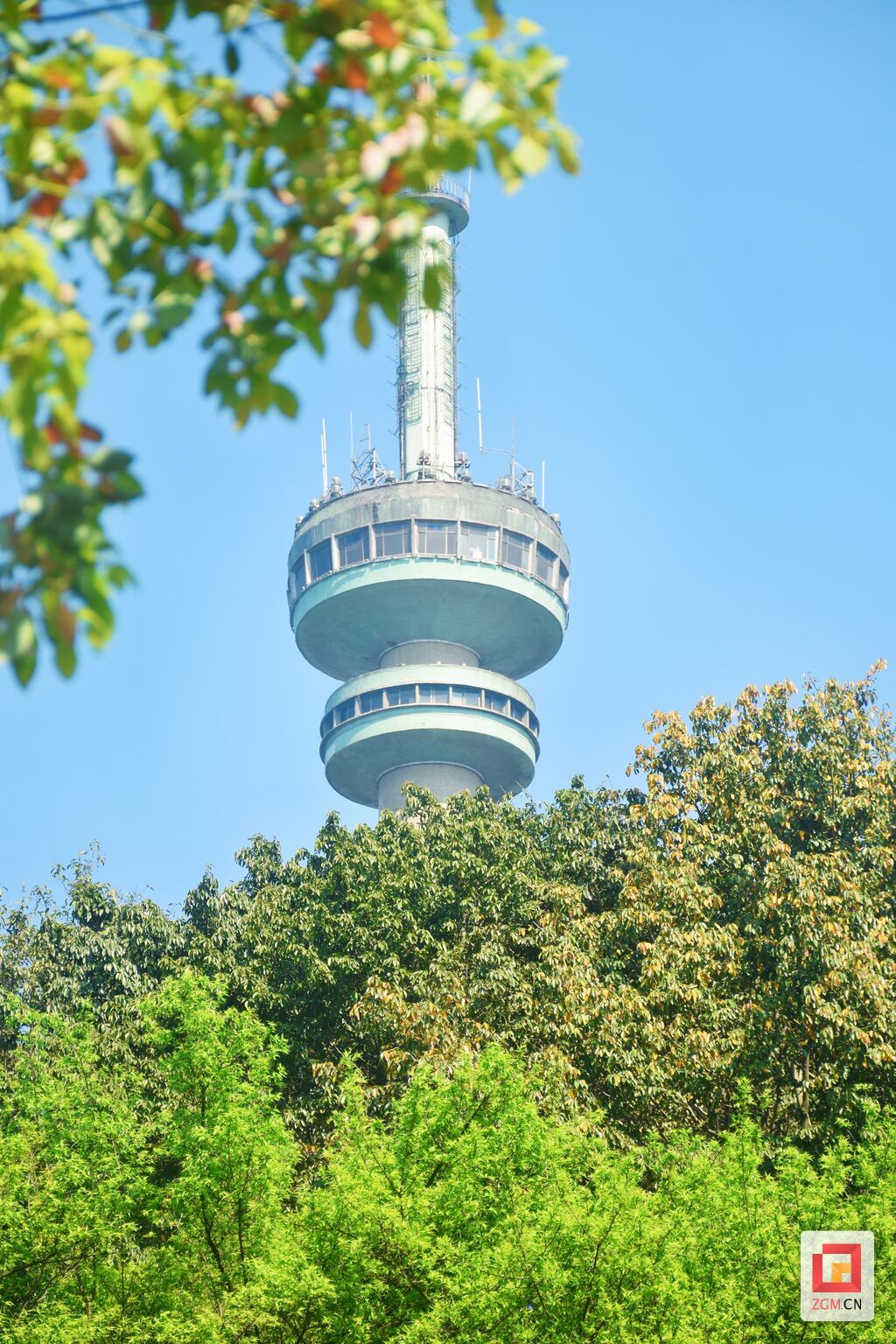 微信圖片_20250401165156.jpg