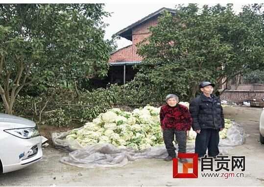 王桂仙夫妻俩.jpg