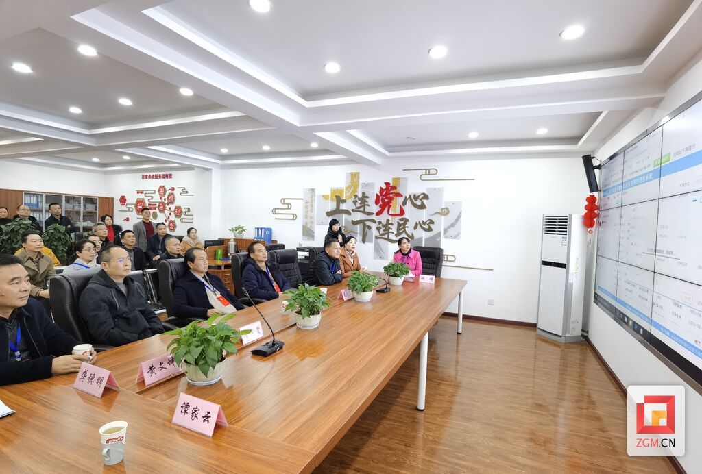 開展民主評(píng)議”回頭看“視察.jpg