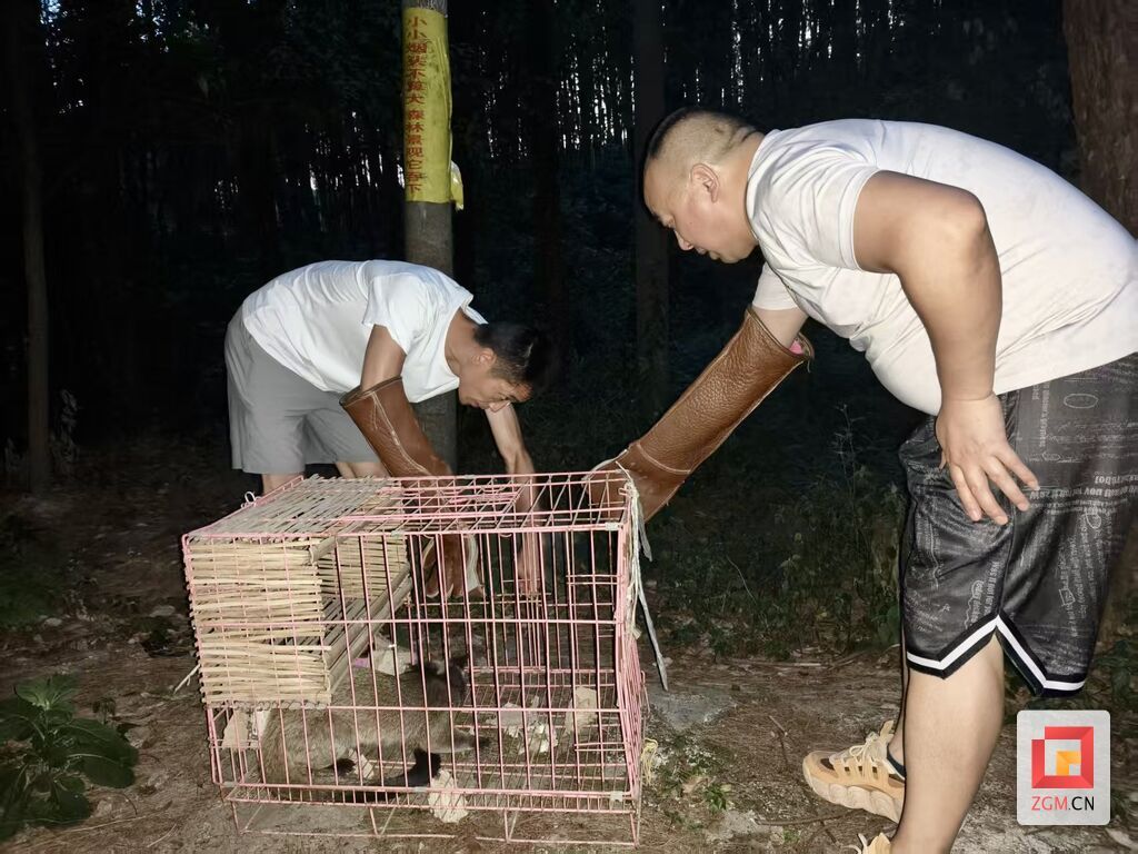 微信图片_20250610222722.jpg