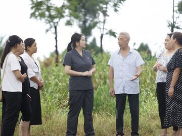 “吃鸡离婚案”写入省法院工作报告