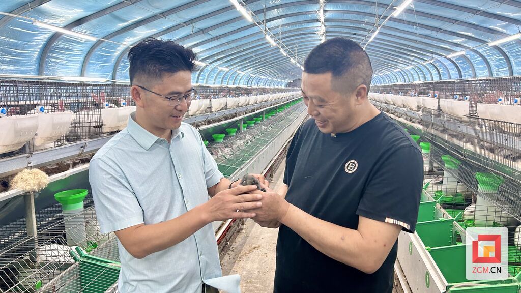 微信图片_20260609101153_5_2.jpg