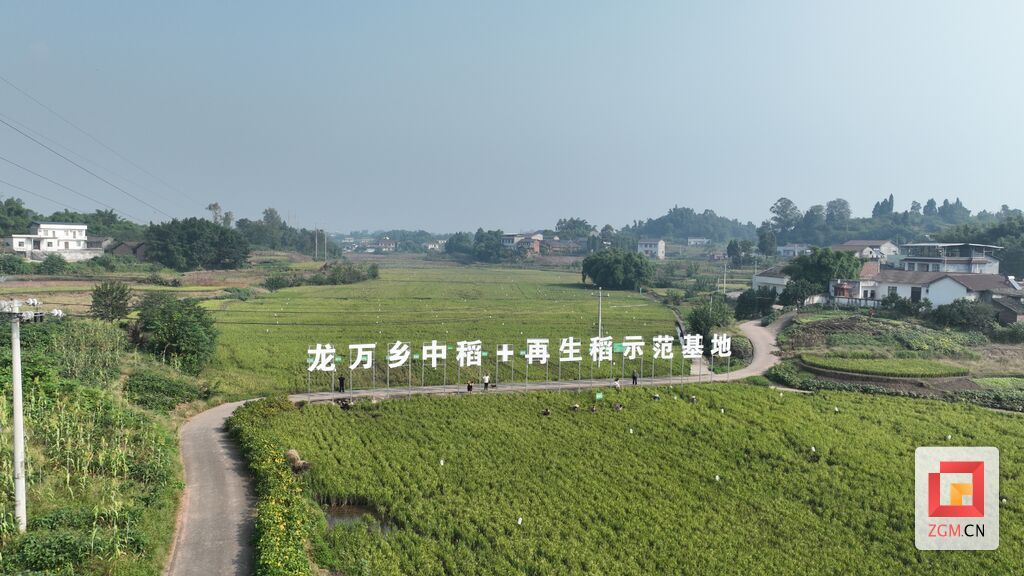 DJI_0357.JPG
