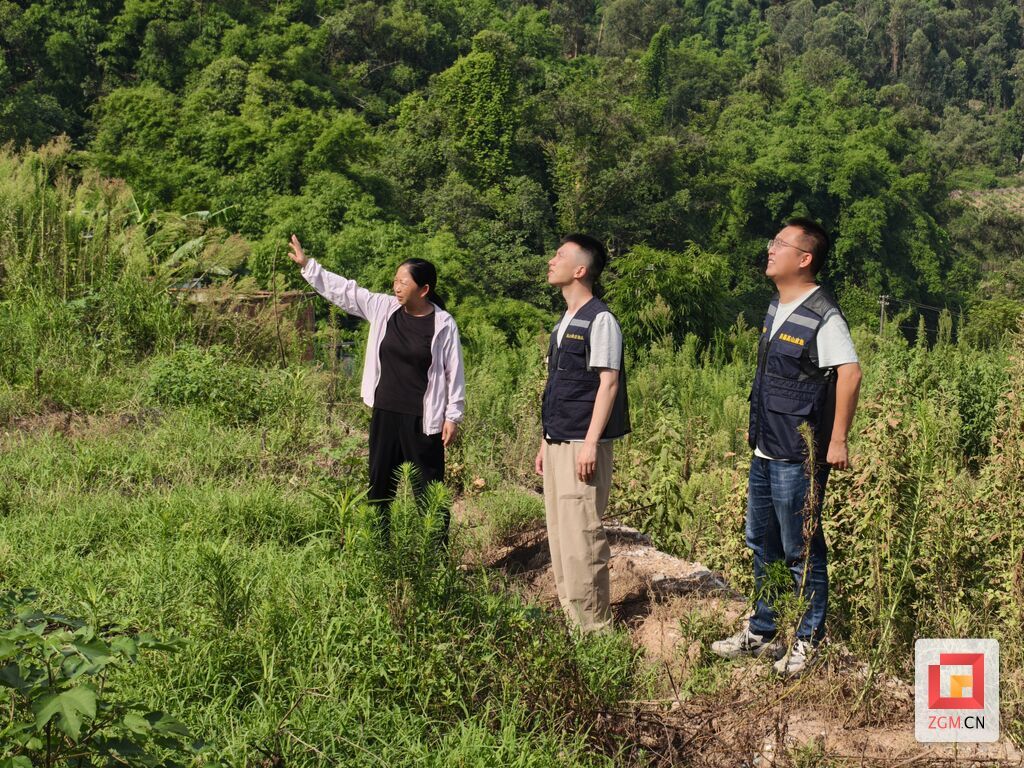 6a75c9ece1499.jpg