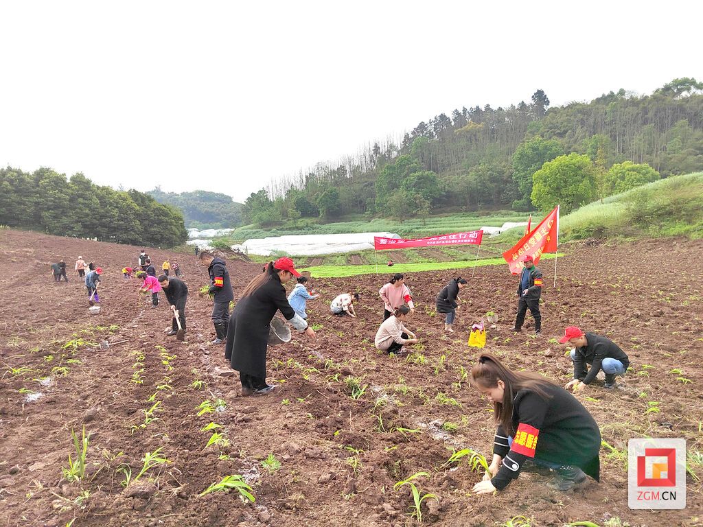 下載圖片.jpg