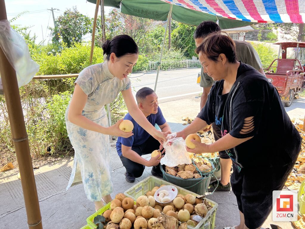 微信图片_20250802142621.jpg