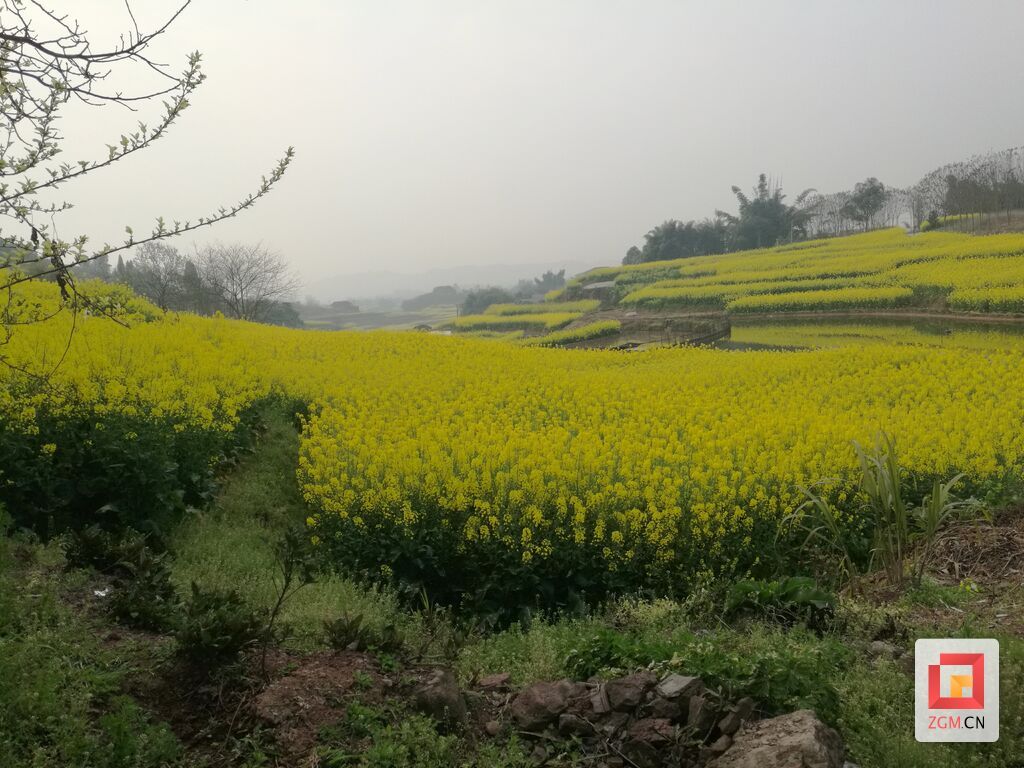 微信图片_20261027060922_584_129.jpg