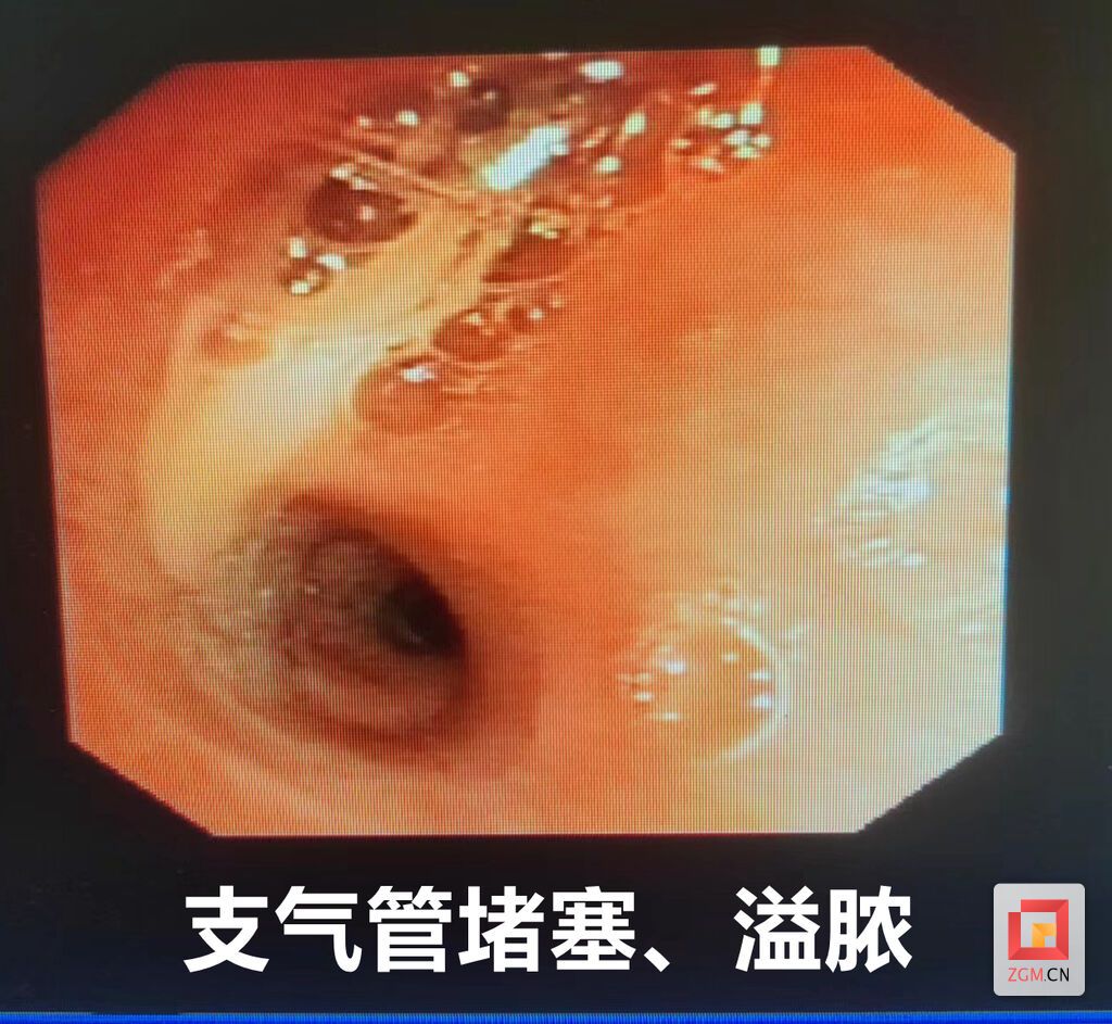 微信图片_20230911222240_副本.jpg