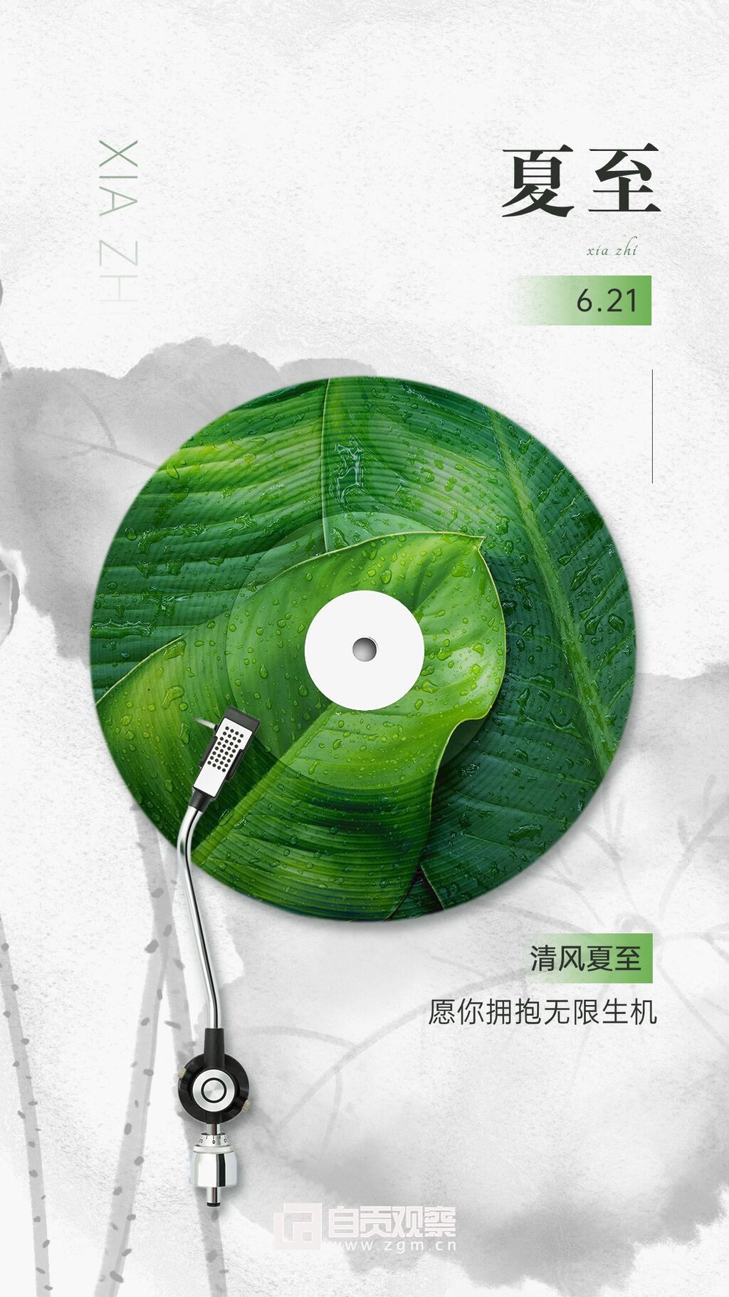 夏至節(jié)氣祝福合成手機(jī)海報(bào).jpg