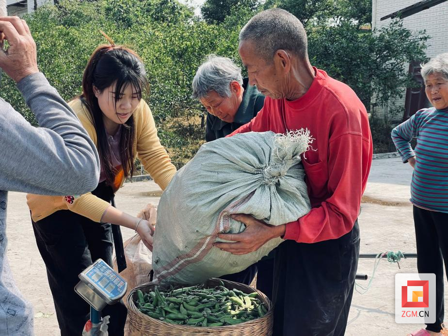 微信圖片_20240515165254.png
