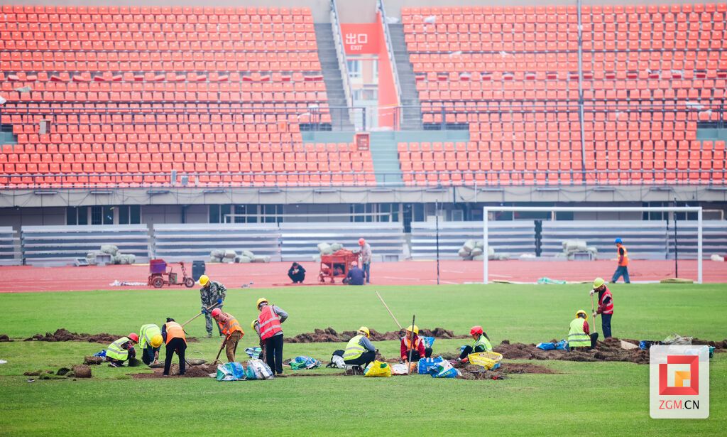 工作人员铺设草皮 专业场地即将就位 记者 宋姿熠 摄.jpg