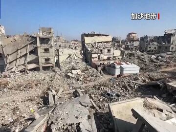 本轮巴以冲突已致加沙地带69733人死亡