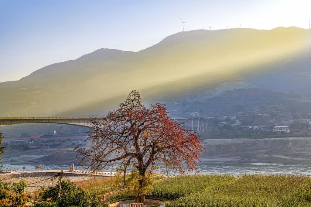 劉家成攝影 (7).jpg