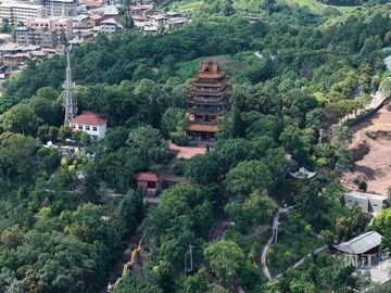 内自同城 | 9月全新亮相！资中县重龙山景区升级改造工程加速推进