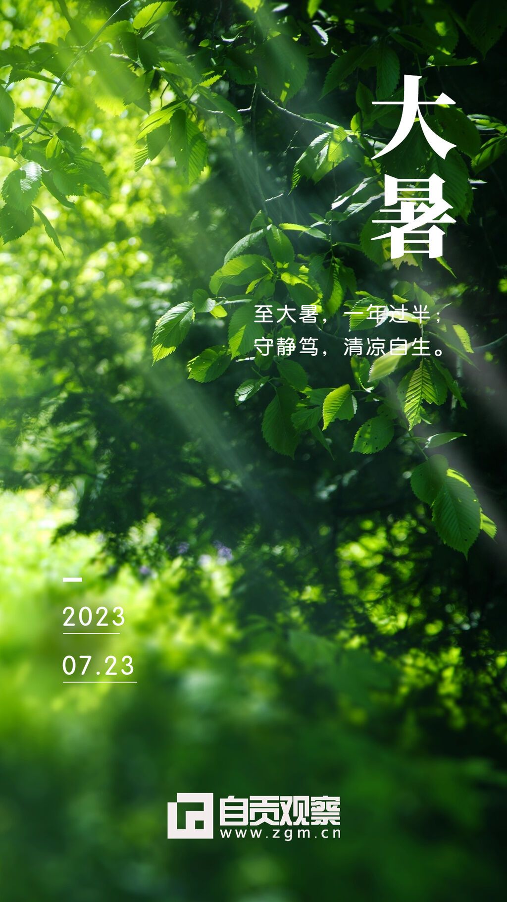 大暑節(jié)氣問候?qū)嵕瓣柟馐謾C海報 (1).jpg