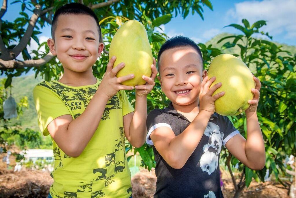 攀枝花正在深入实施乡村振兴战略，大力推进农业农村现代化。王东摄