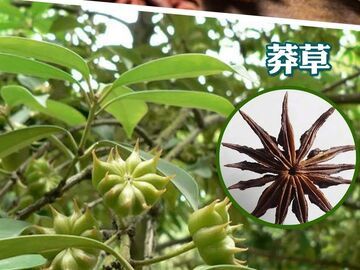 女子买的“八角”数出13个角，竟有剧毒！厨房里如有这些快扔掉