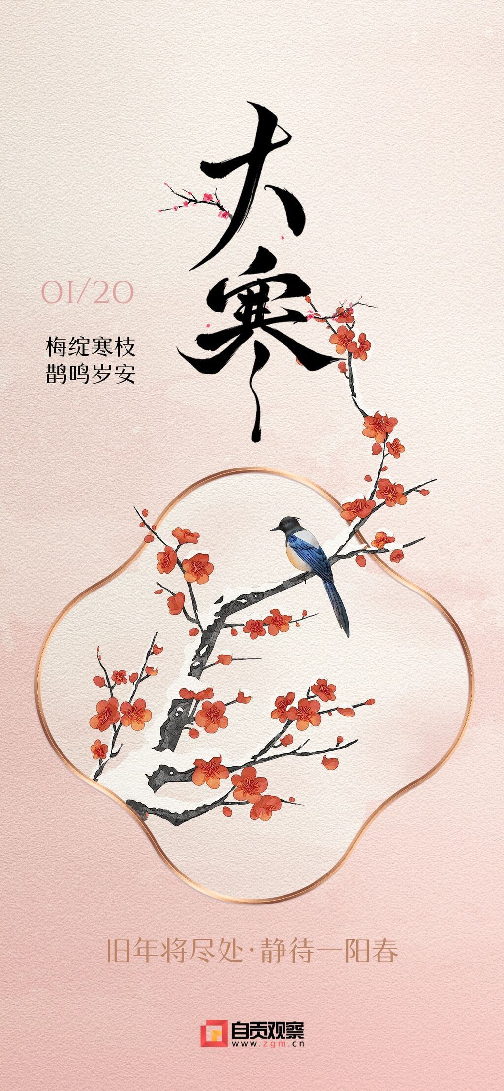 大寒节气祝福花鸟边框中式感通用全屏竖版海报(1).jpg